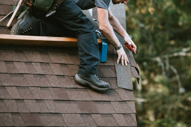 Best Roof Maintenance Services  in Wilder, ID